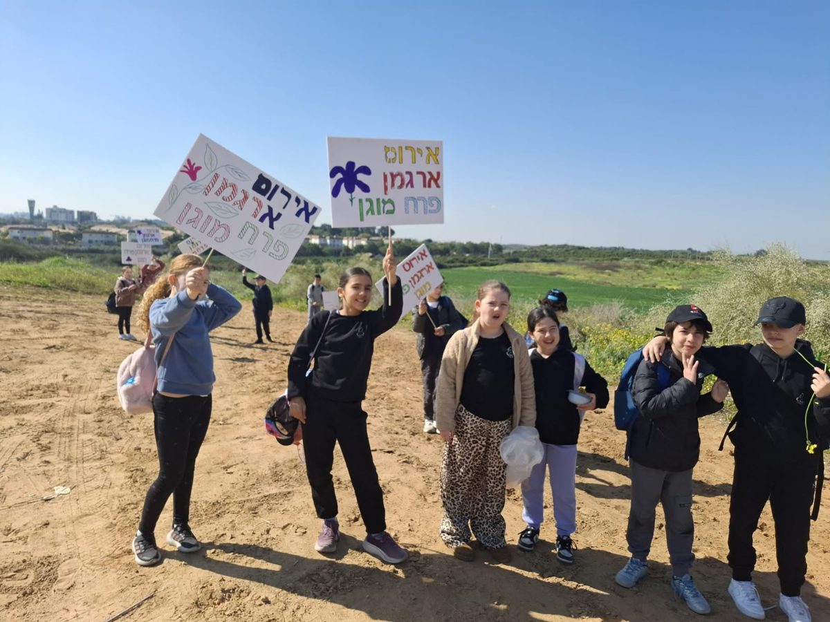 פקעות אירוס הארגמן המטופלות במשרדי אגף קיימות וסביבה