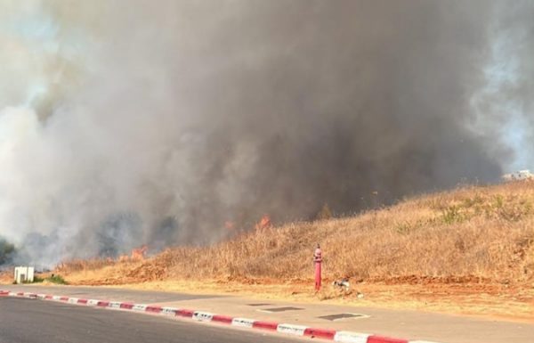שריפה גדולה משתוללת ברחוב תש”ח בראשון לציון