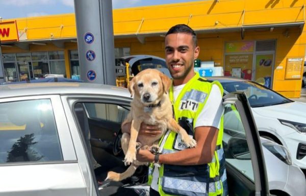 ראשון לציון: כלב ננעל ברכב לעיני בעליו, מתנדב ידידים חילץ אותו בשלום
