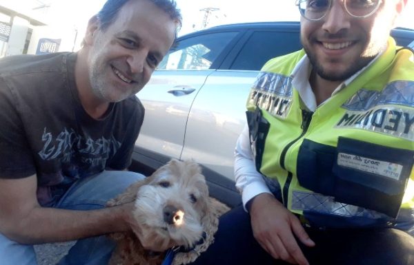 כלב ננעל ברכב לעיני בעליו ברחוב עמינח ניר צבי בראשון לציון, מתנדבי ידידים חילצו אותו בשלום
