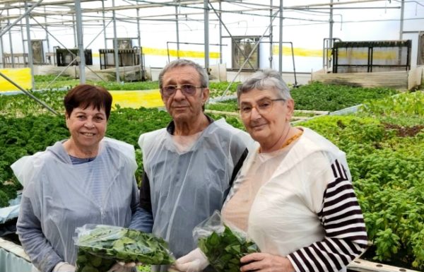 סבים וסבתות מאחוזת ראשונים שבמערב ראשון לציון התגייסו למען ענף החקלאות במשק בן שמן