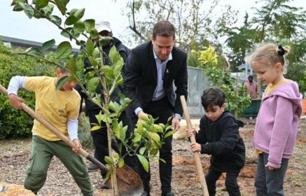 חלוקת עצי פרי לתושבים, חניכת פארק האקליפטוס, סיורי ליקוט, סדנאות וחגיגות שכונתיות: עיריית ראשון לציון תציין את ט"ו בשבט בשלל אירועים