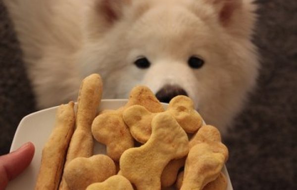 עוגיות לכלבים….ואוו